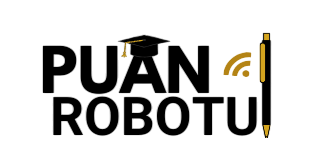 Puan Robotu Logo
